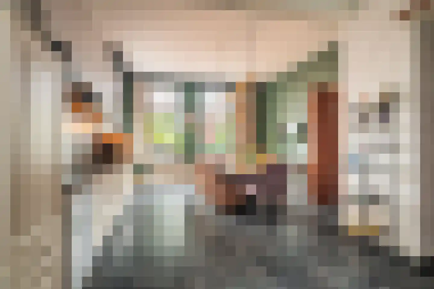 Noorderstraat 97 Sappemeer thumbnail 6