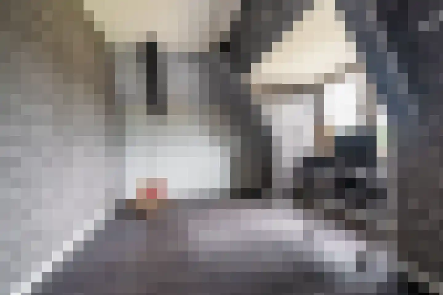 Noorderstraat 97 Sappemeer thumbnail 62