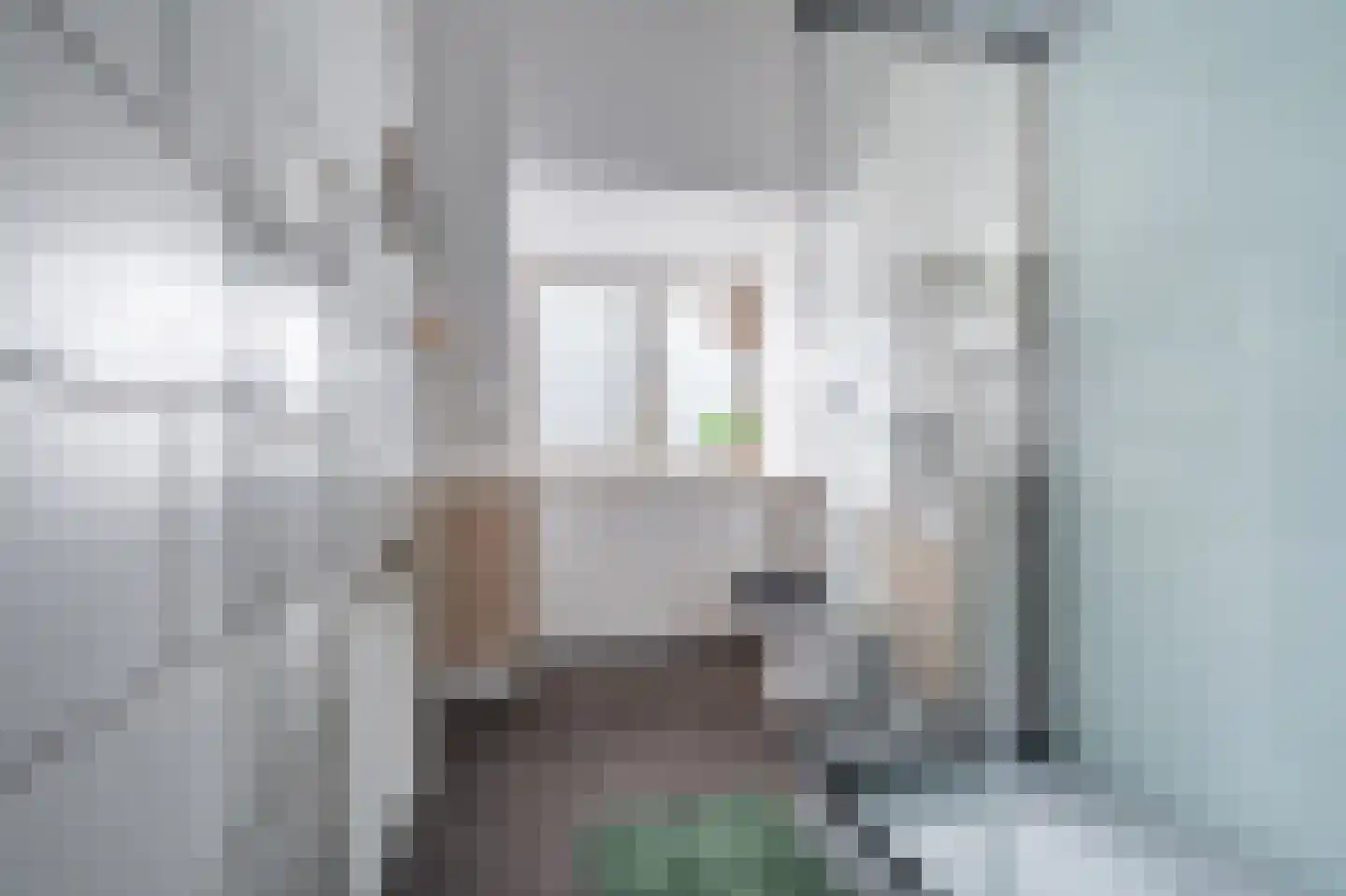 Noorderstraat 97 Sappemeer thumbnail 64