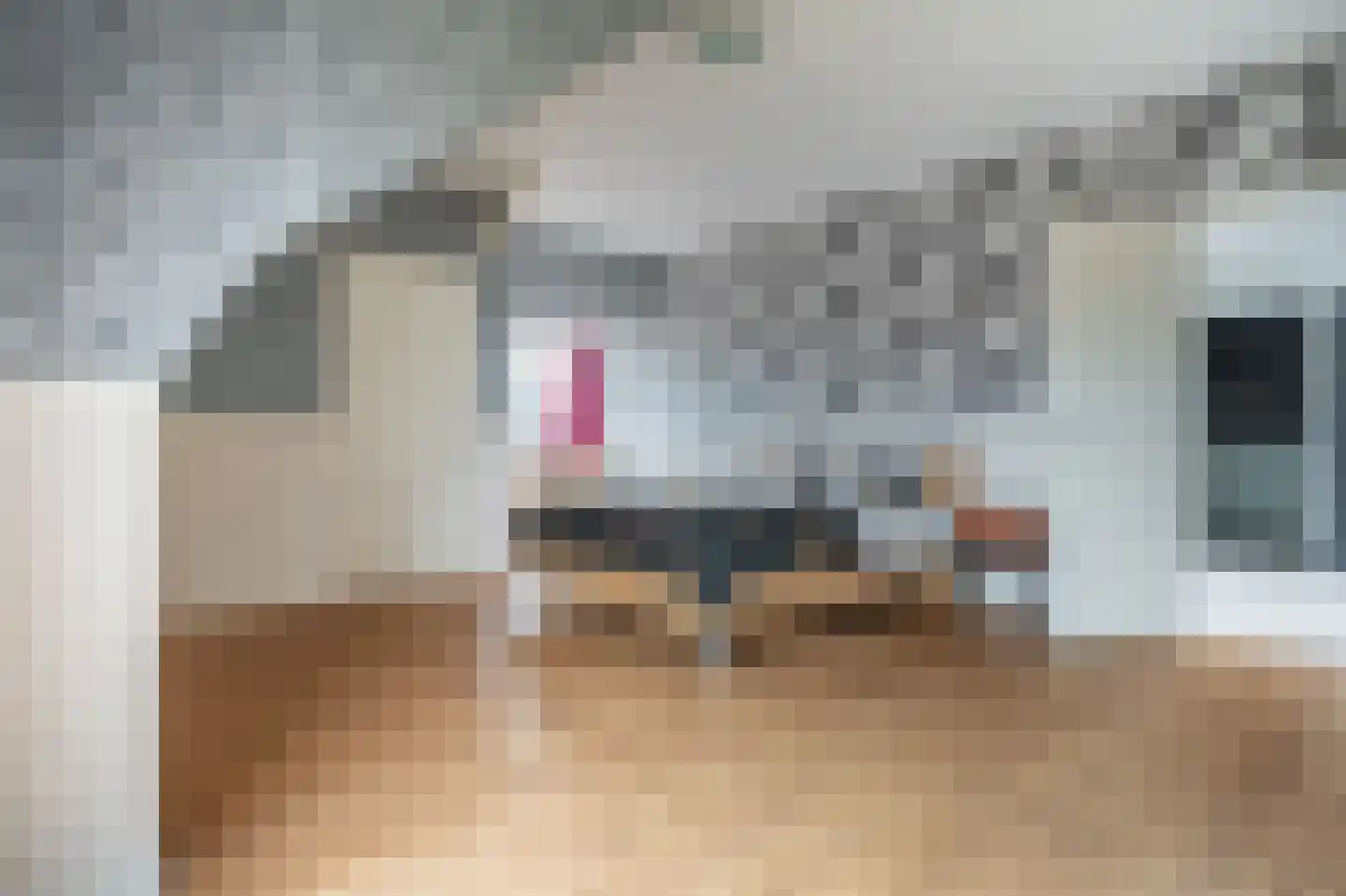 Noorderstraat 97 Sappemeer thumbnail 67