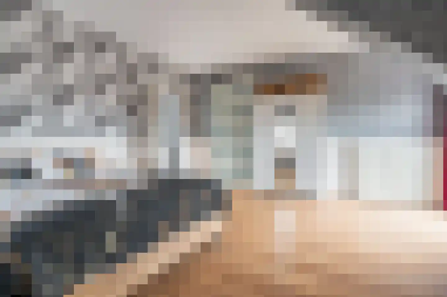 Noorderstraat 97 Sappemeer thumbnail 68