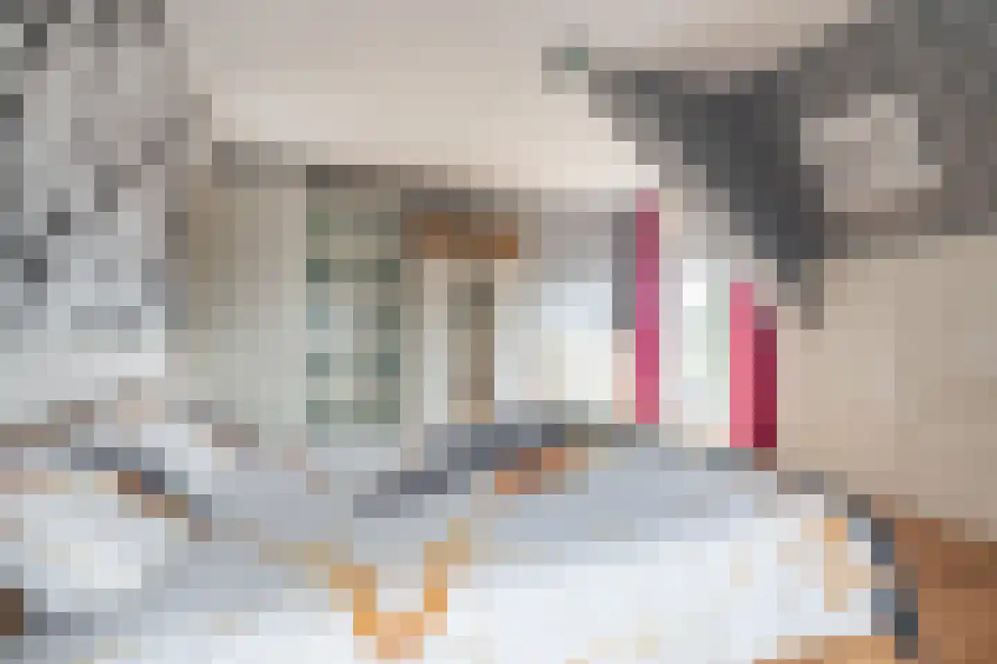 Noorderstraat 97 Sappemeer thumbnail 69