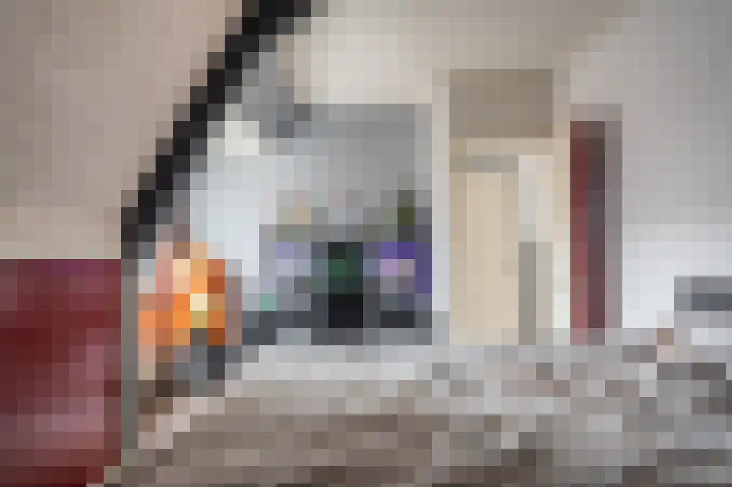 Noorderstraat 97 Sappemeer thumbnail 72
