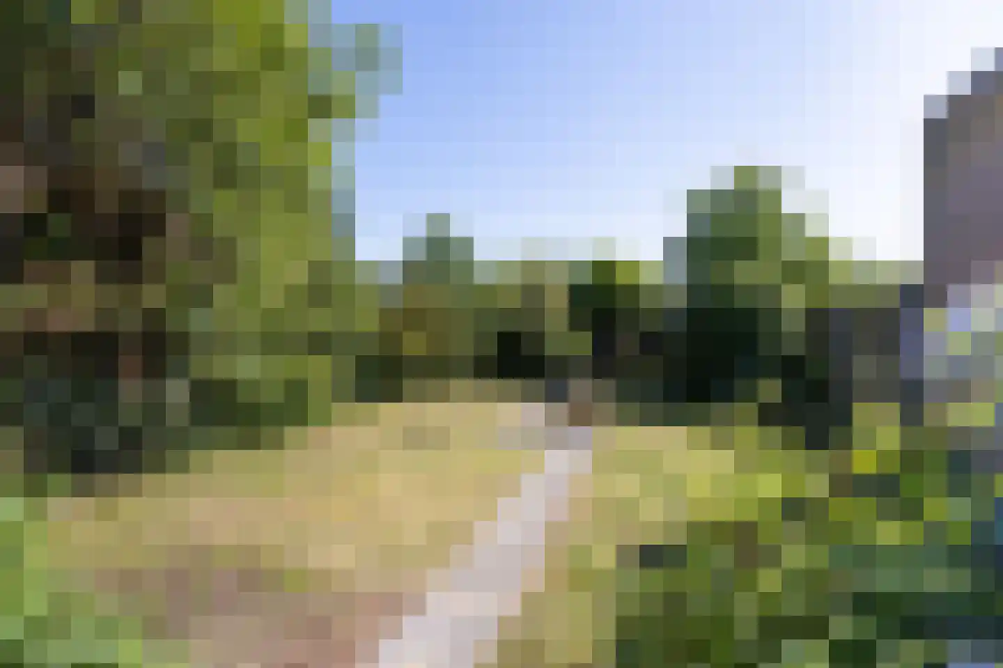 Noorderstraat 98 St. Willebrord thumbnail 4