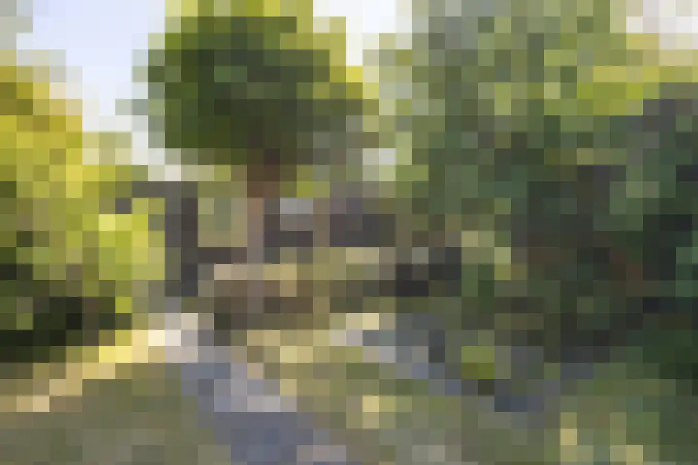 Noorderstraat 98 St. Willebrord thumbnail 42