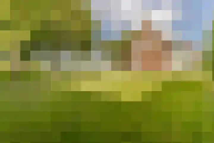 Noordervaart 172 Stompetoren thumbnail 22