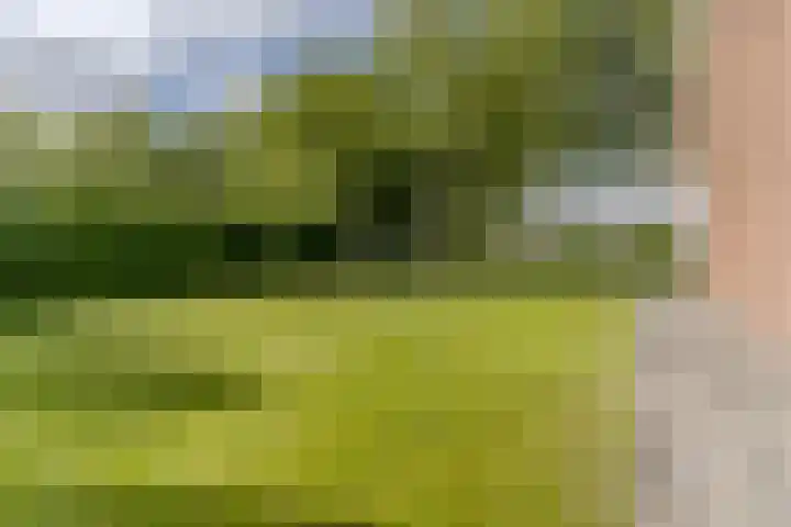 Noordervaart 172 Stompetoren thumbnail 23