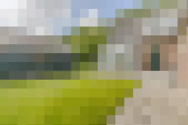 Noordervaart 172 Stompetoren thumbnail 26