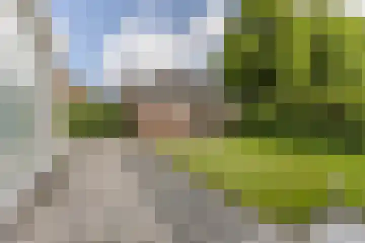 Noordervaart 172 Stompetoren thumbnail 31