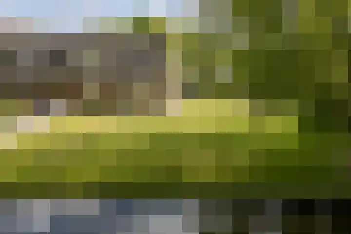 Noordervaart 172 Stompetoren thumbnail 44