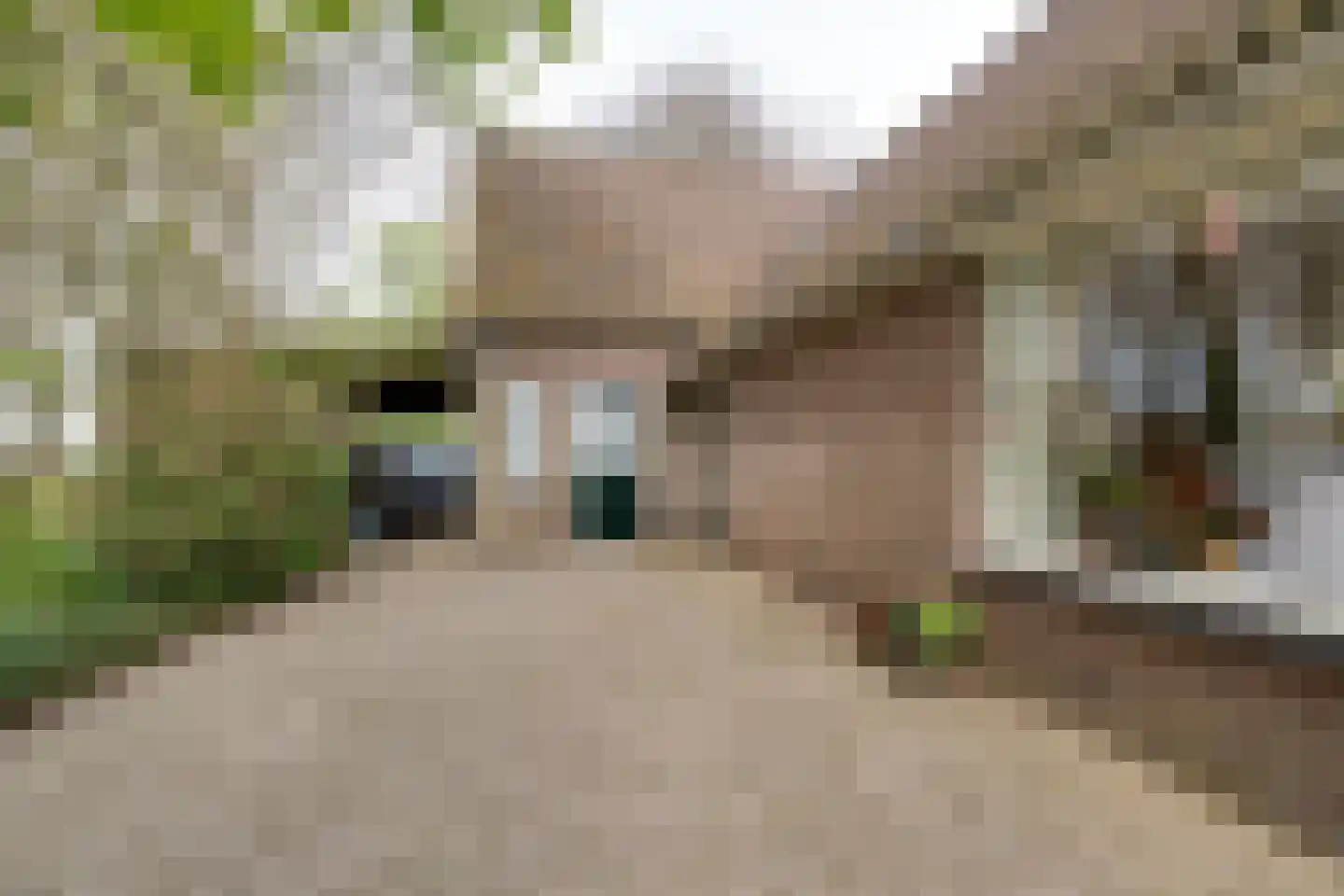 Noordervaart 180 Stompetoren thumbnail 37