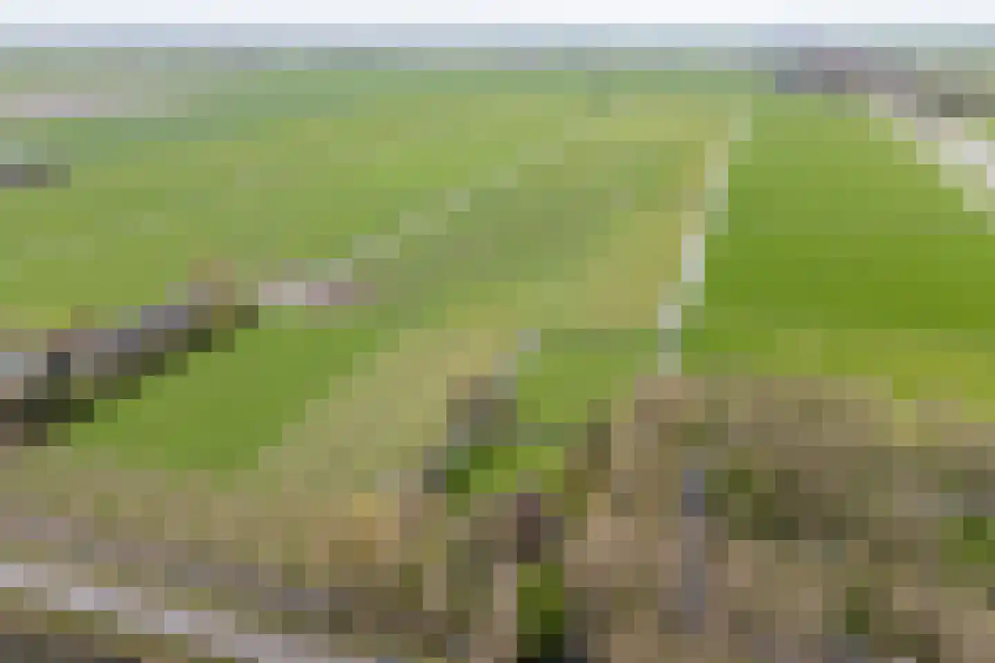 Noordervaart 180 Stompetoren thumbnail 4