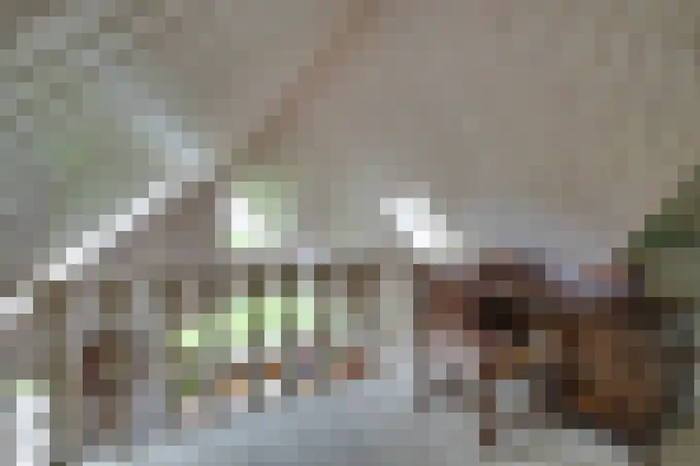 Noordervaart 180 Stompetoren thumbnail 49