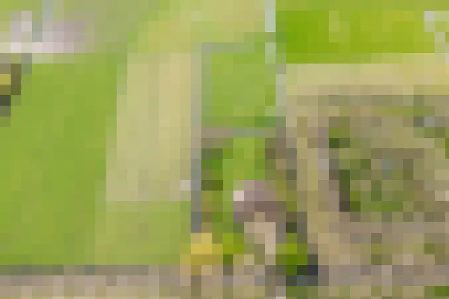 Noordervaart 180 Stompetoren thumbnail 5