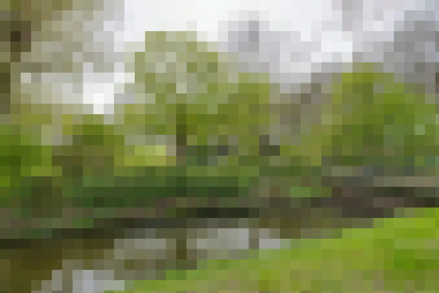 Noordervaart 180 Stompetoren thumbnail 67