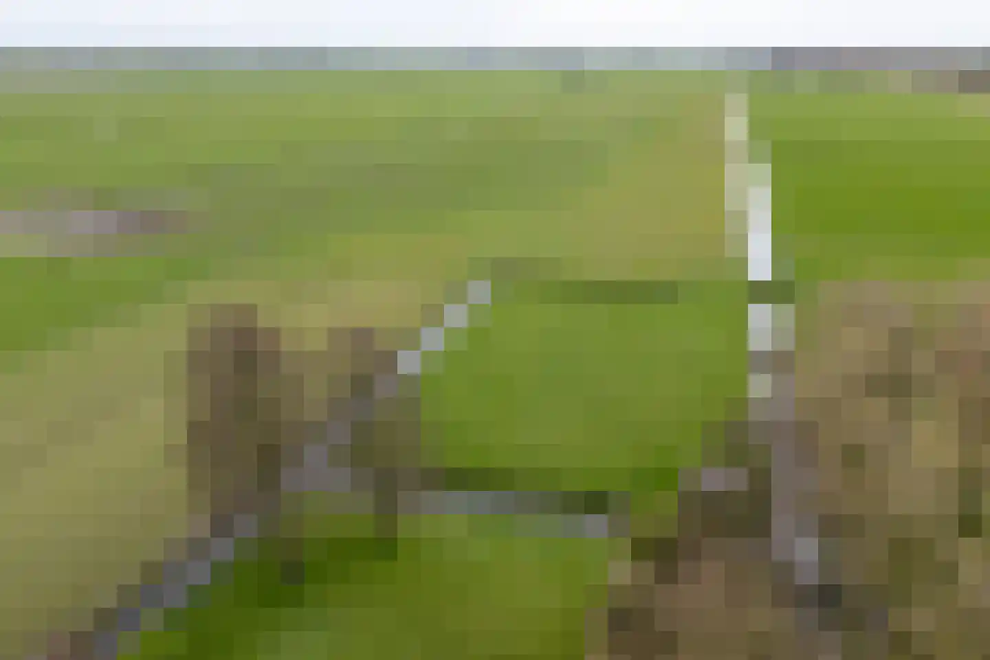 Noordervaart 180 Stompetoren thumbnail 71