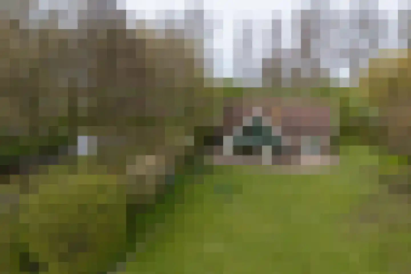 Noordervaart 180 Stompetoren thumbnail 74