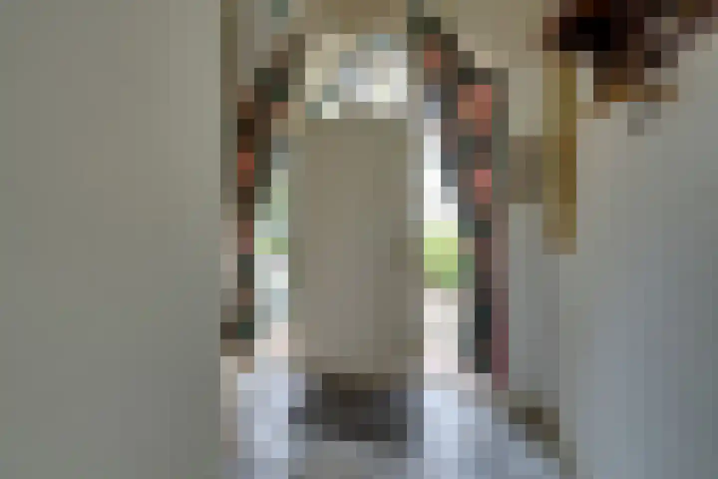 Noordervaart 180 Stompetoren thumbnail 9
