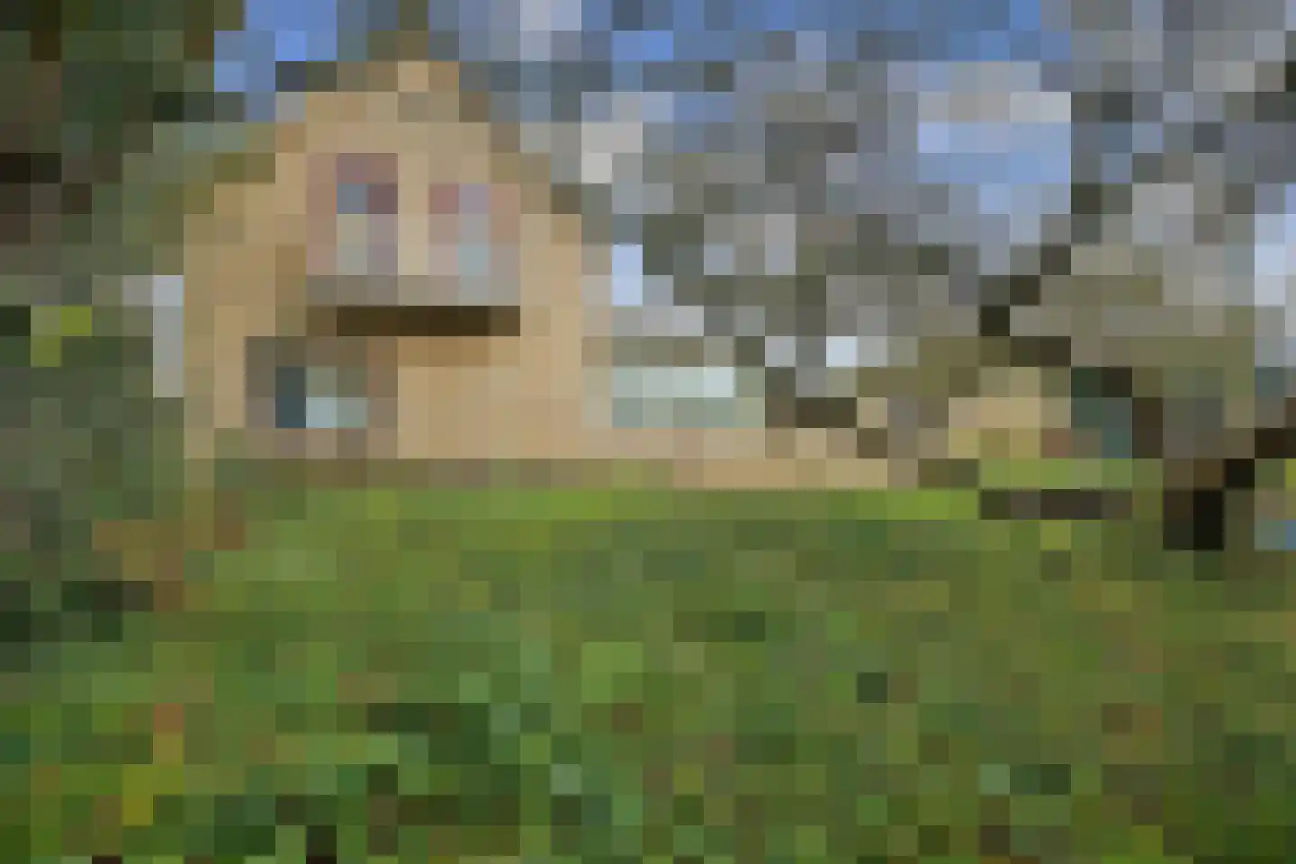 Noordervaart 190 Stompetoren thumbnail 10