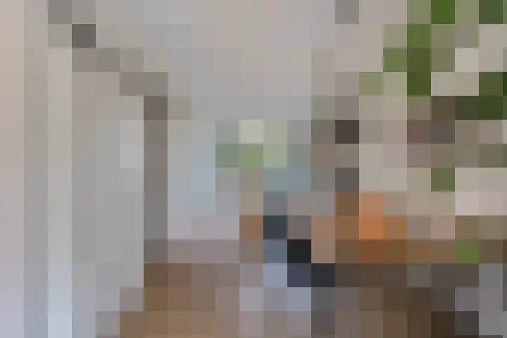 Noordervaart 206 Stompetoren thumbnail 10
