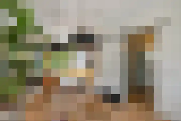 Noordervaart 206 Stompetoren thumbnail 17