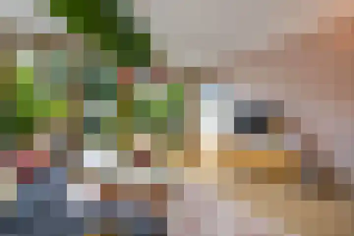 Noordervaart 206 Stompetoren thumbnail 18