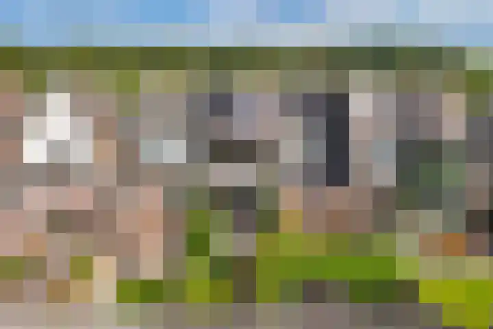 Noordervaart 206 Stompetoren thumbnail 21