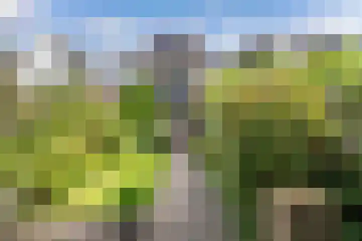 Noordervaart 206 Stompetoren thumbnail 42