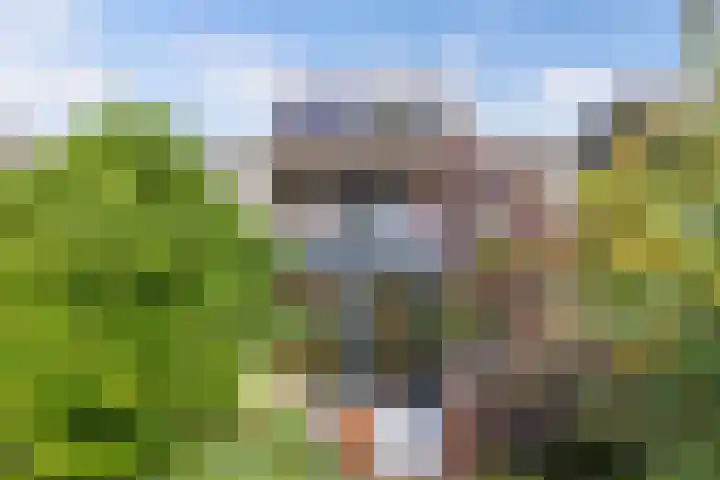 Noordervaart 206 Stompetoren thumbnail 43