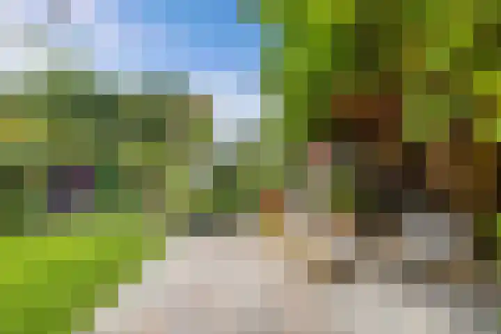 Noordervaart 206 Stompetoren thumbnail 46