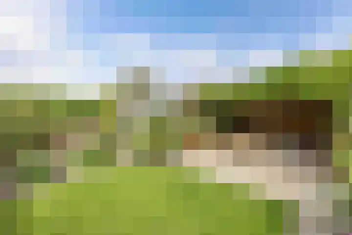 Noordervaart 206 Stompetoren thumbnail 48