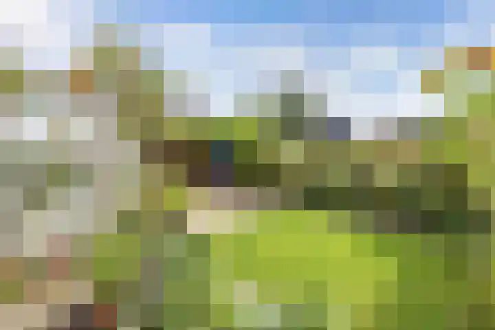 Noordervaart 206 Stompetoren thumbnail 6