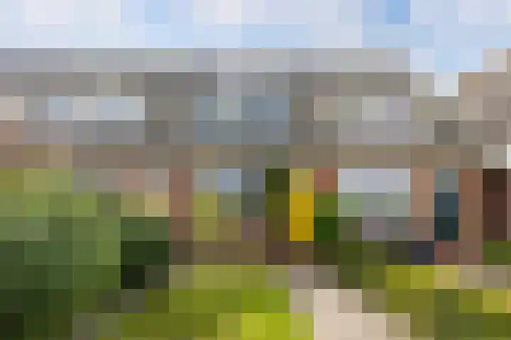Noordervaart 206 Stompetoren thumbnail 8