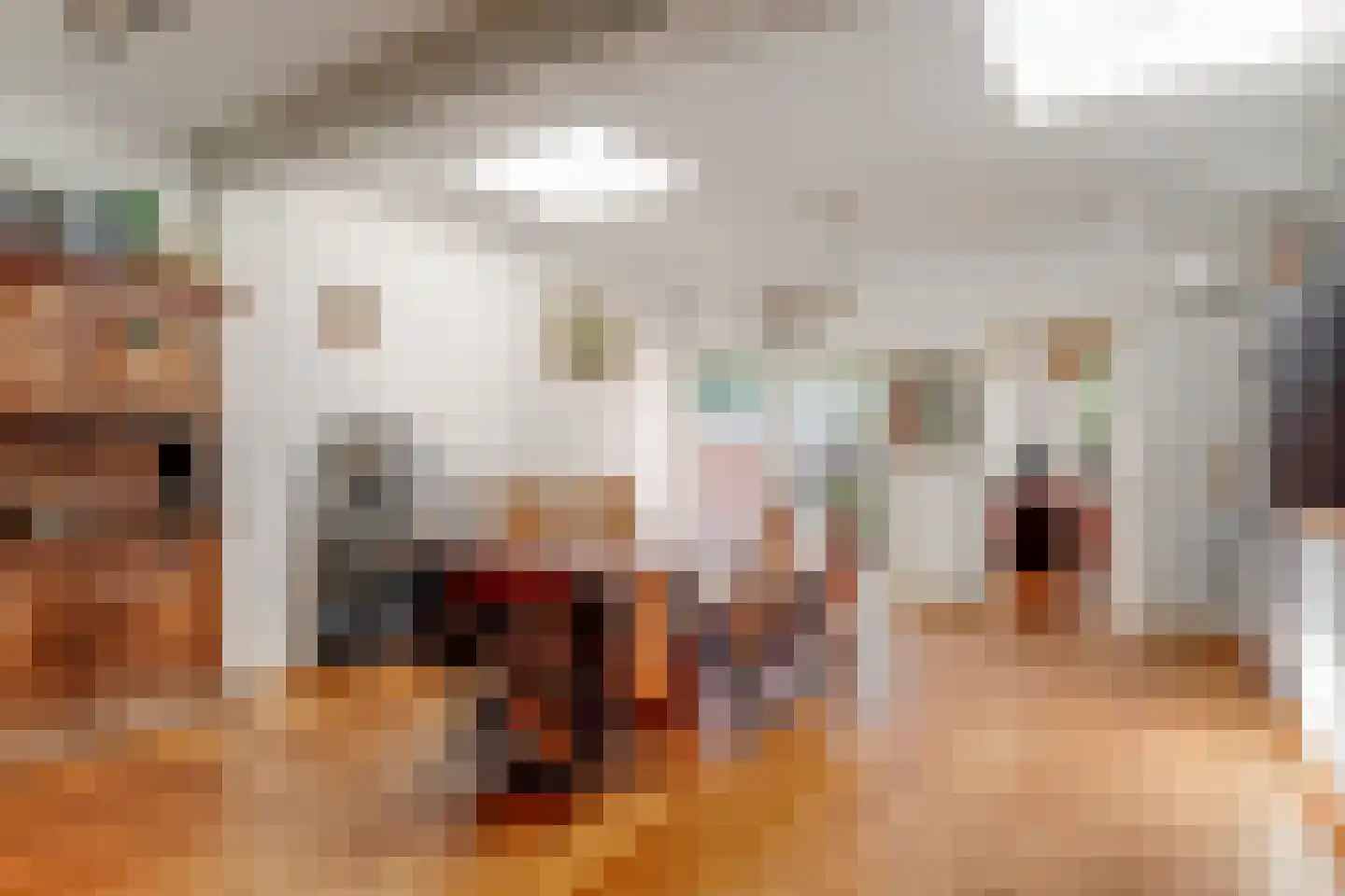 Noordervaart 210 Stompetoren thumbnail 18