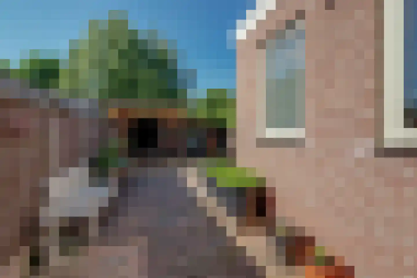 Noordervaart 210 Stompetoren thumbnail 34