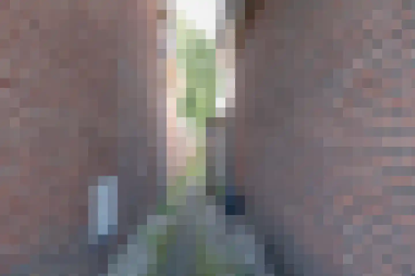 Noordervaart 210 Stompetoren thumbnail 52