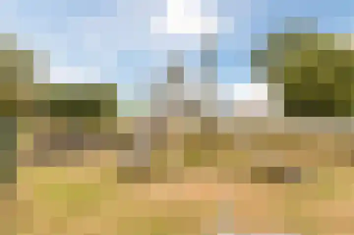 Noordervaart 234 Stompetoren thumbnail 70