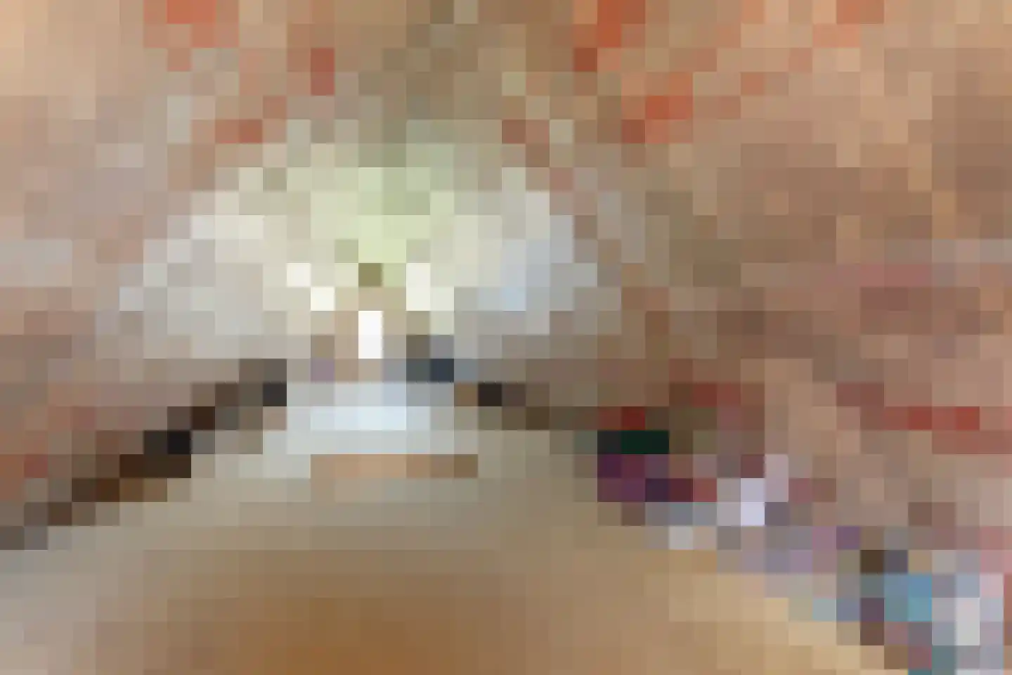 Noordervaart 41 Stompetoren thumbnail 43