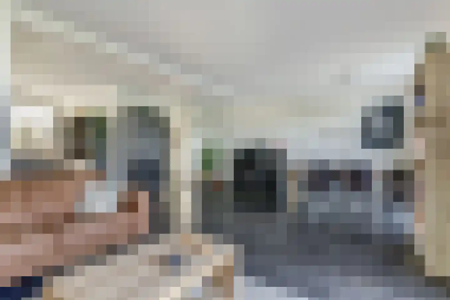 Noordervaart 41 Stompetoren thumbnail 7