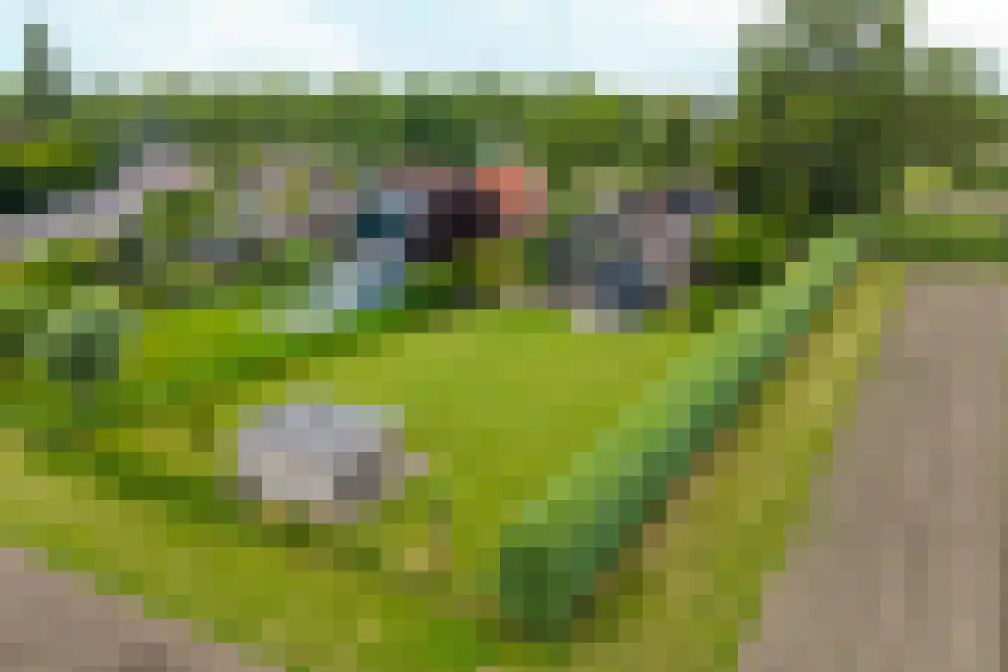 Noordervaart 62 Stompetoren thumbnail 10