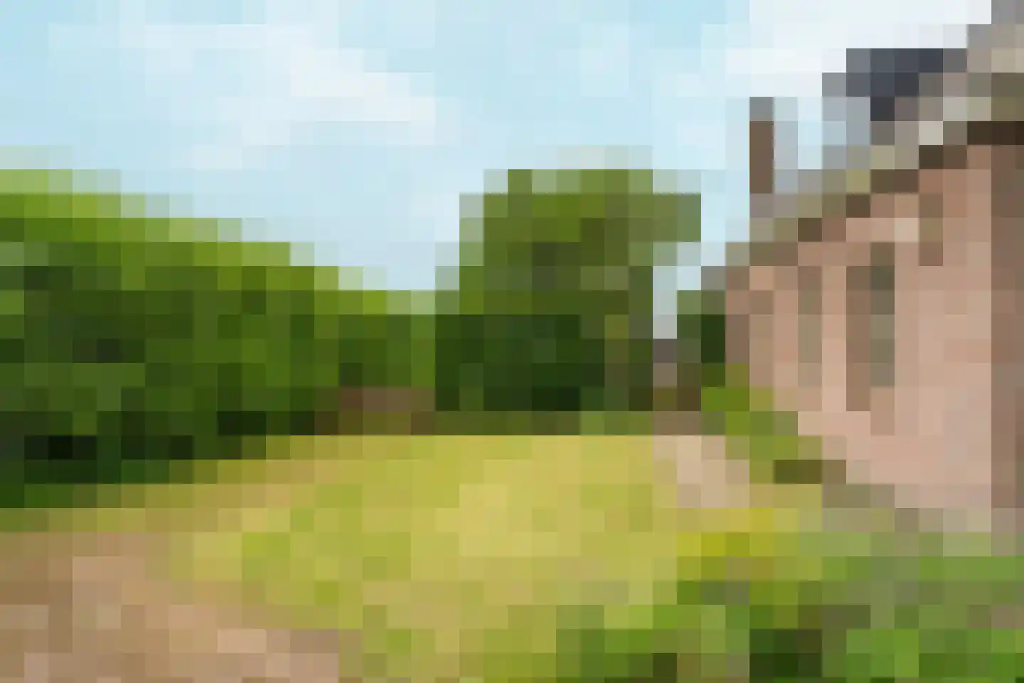Noordervaart 62 Stompetoren thumbnail 12