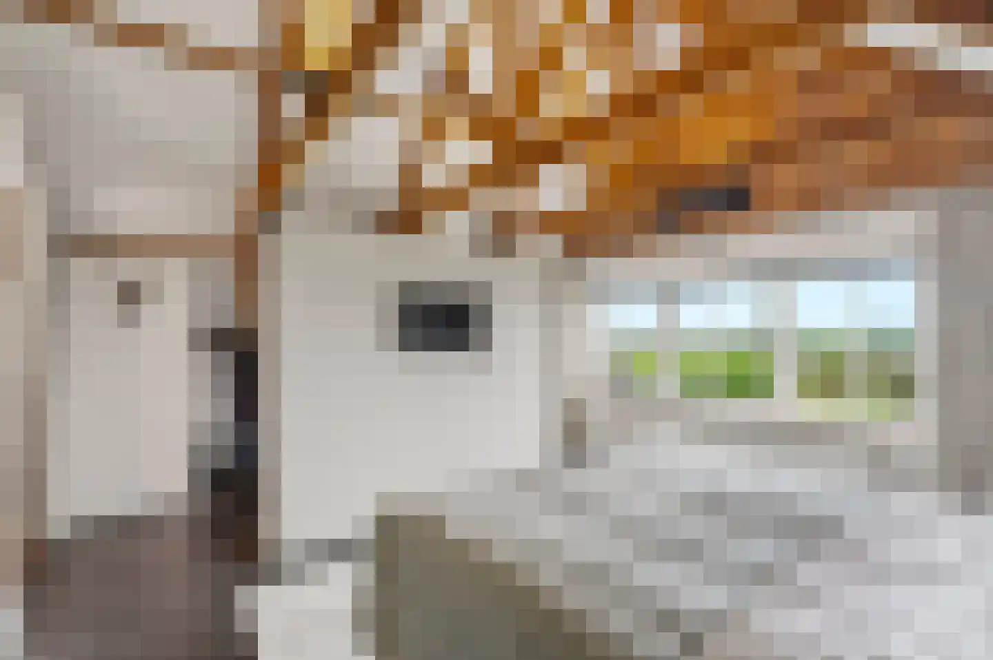 Noordervaart 62 Stompetoren thumbnail 49