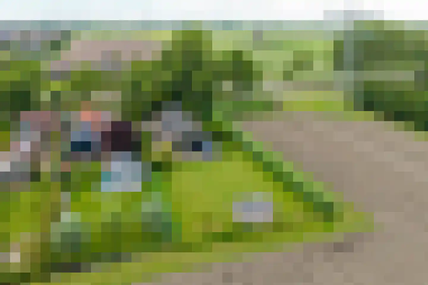 Noordervaart 62 Stompetoren thumbnail 69