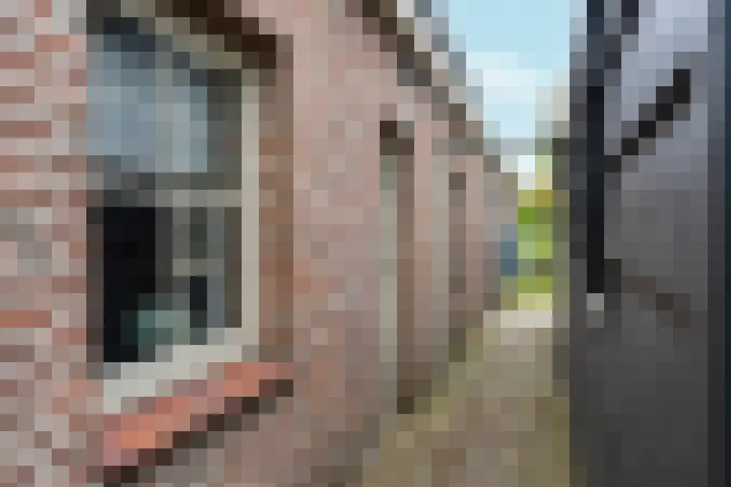 Noordervaart 62 Stompetoren thumbnail 78