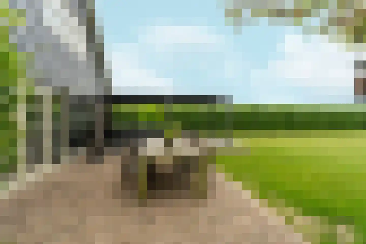 Noordervaart 62 Stompetoren thumbnail 79