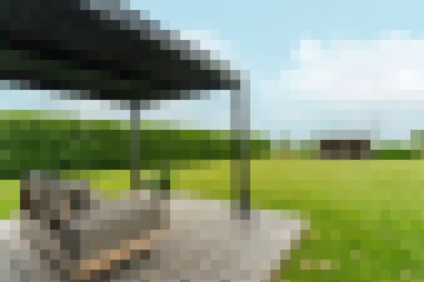 Noordervaart 62 Stompetoren thumbnail 85