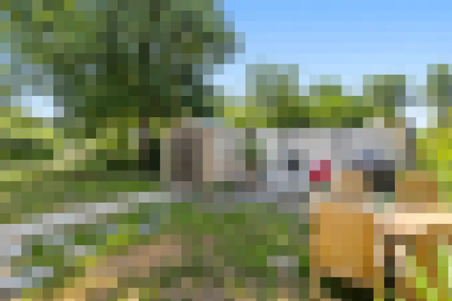 Noordervaart 65 C Stompetoren thumbnail 23