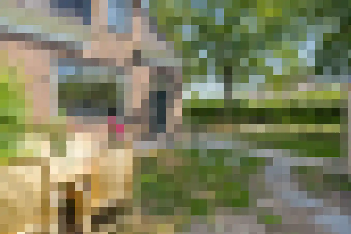 Noordervaart 65 C Stompetoren thumbnail 26