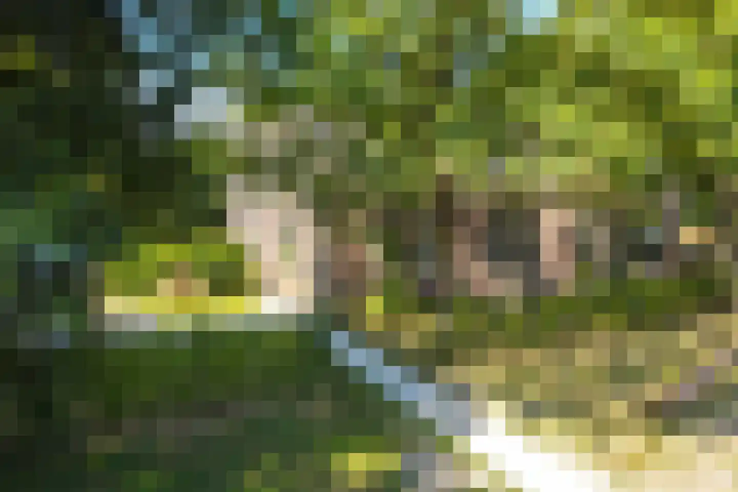 Noordervaart 65 C Stompetoren thumbnail 28