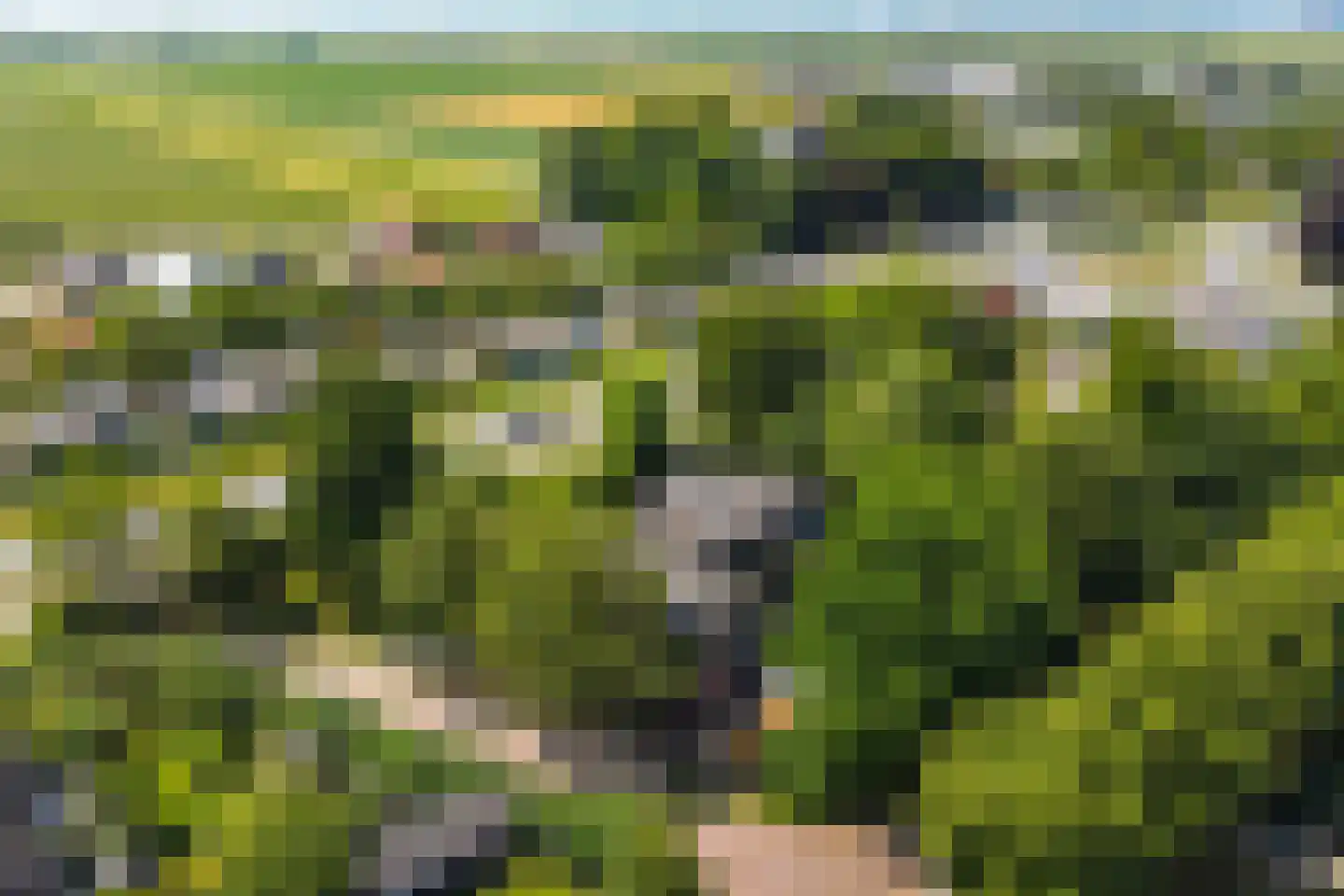 Noordervaart 65 C Stompetoren thumbnail 29